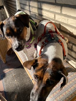 Foto von Peggy P.